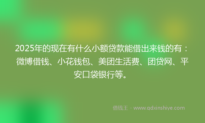 2025年的现在有什么小额贷款能借出来钱的有：微博借钱、小花钱包、美团生活费、团贷网、平安口袋银行等。