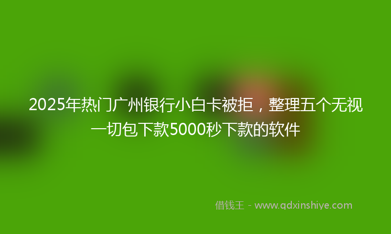 2025年热门广州银行小白卡被拒，整理五个无视一切包下款5000秒下款的软件
