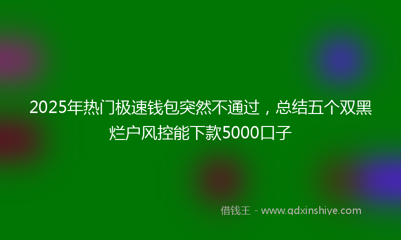 2025年热门极速钱包突然不通过，总结五个双黑烂户风控能下款5000口子