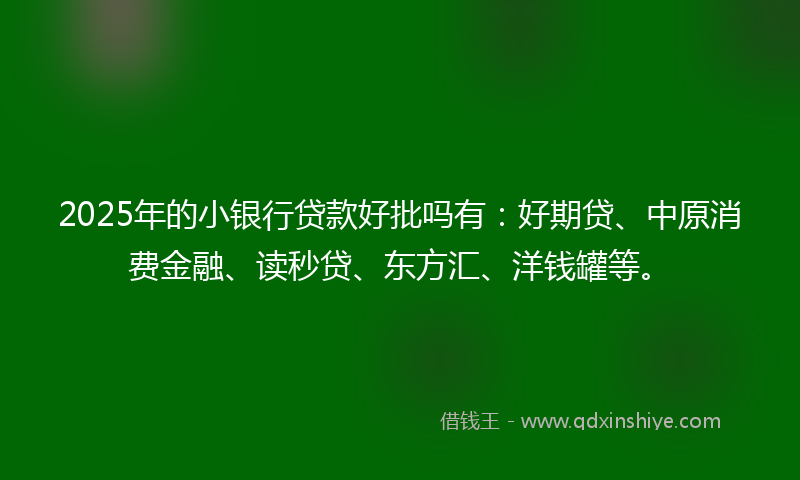 2025年的小银行贷款好批吗有:好期贷、中原消费金融、读秒贷、东方汇、洋钱罐等。