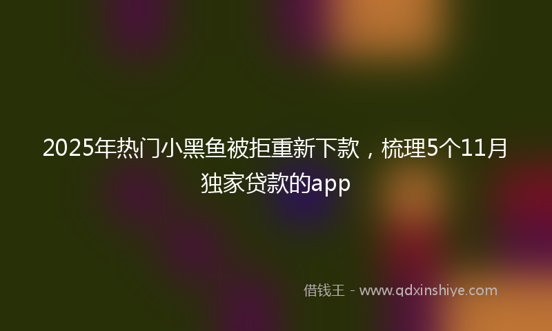 2025年热门小黑鱼被拒重新下款，梳理5个11月独家贷款的app