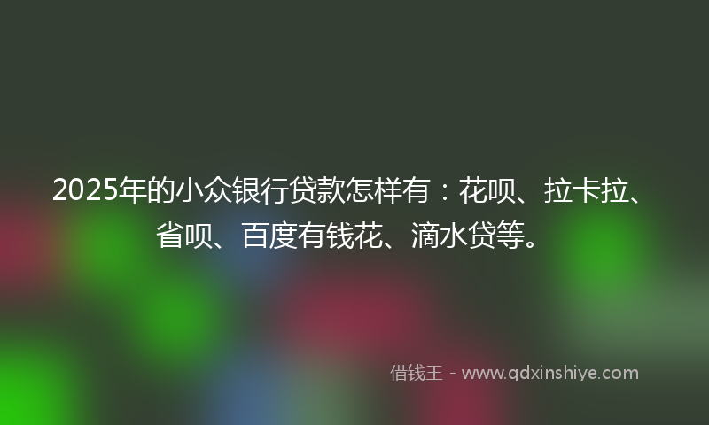 2025年的小众银行贷款怎样有：花呗、拉卡拉、省呗、百度有钱花、滴水贷等。