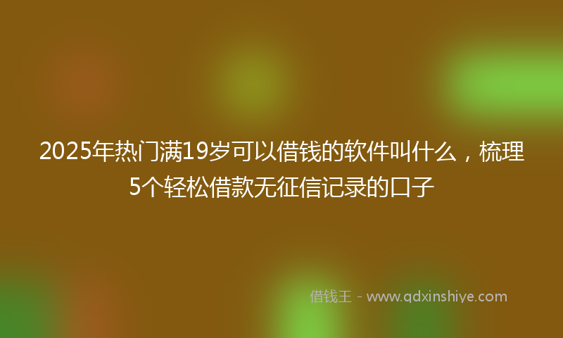 2025年热门满19岁可以借钱的软件叫什么，梳理5个轻松借款无征信记录的口子