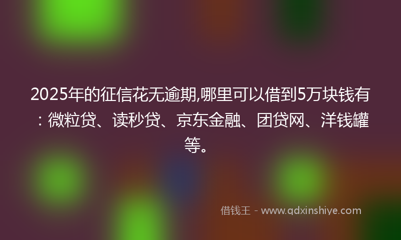 2025年的征信花无逾期,哪里可以借到5万块钱有：微粒贷、读秒贷、京东金融、团贷网、洋钱罐等。