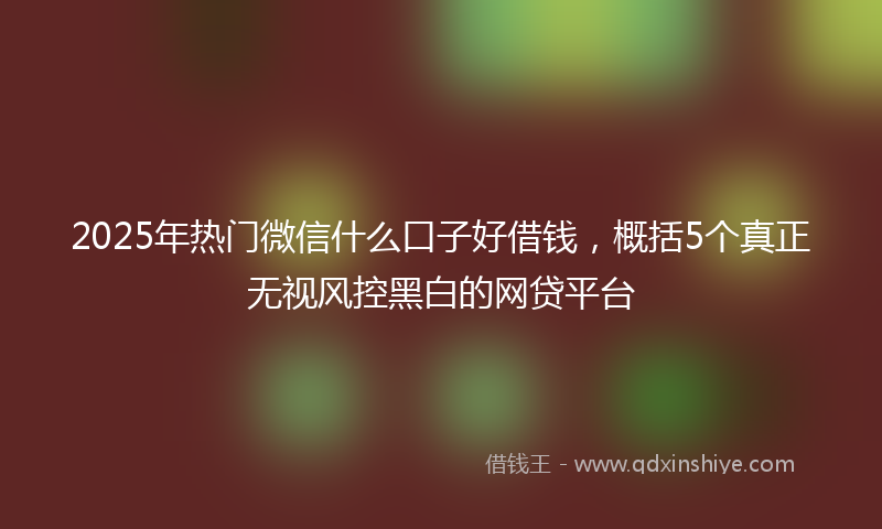2025年热门微信什么口子好借钱，概括5个真正无视风控黑白的网贷平台