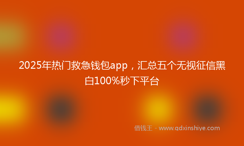 2025年热门救急钱包app，汇总五个无视征信黑白100%秒下平台