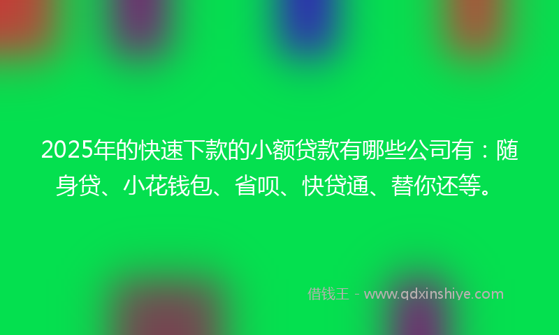2025年的快速下款的小额贷款有哪些公司有：随身贷、小花钱包、省呗、快贷通、替你还等。