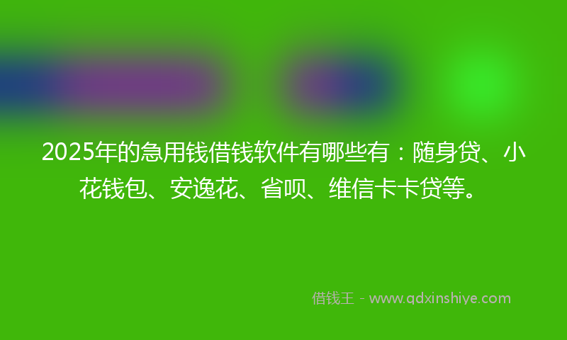 2025年的急用钱借钱软件有哪些有：随身贷、小花钱包、安逸花、省呗、维信卡卡贷等。
