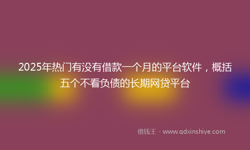 2025年热门有没有借款一个月的平台软件，概括五个不看负债的长期网贷平台