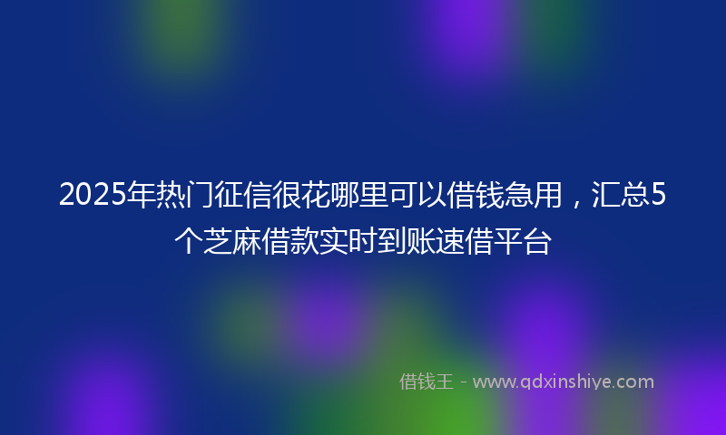 2025年热门征信很花哪里可以借钱急用，汇总5个芝麻借款实时到账速借平台