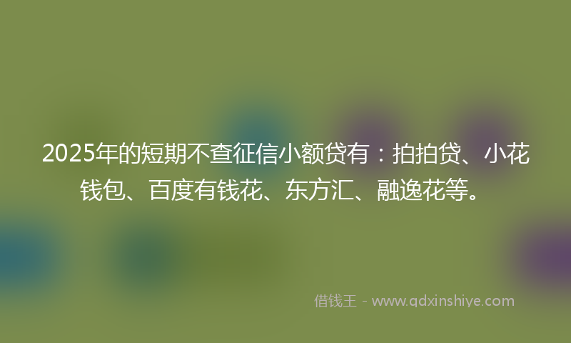 2025年的短期不查征信小额贷有：拍拍贷、小花钱包、百度有钱花、东方汇、融逸花等。