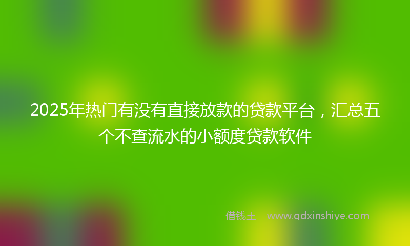 2025年热门有没有直接放款的贷款平台，汇总五个不查流水的小额度贷款软件