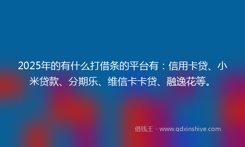 2025年的有什么打借条的平台有：信用卡贷、小米贷款、分期乐、维信卡卡贷、融逸花等。