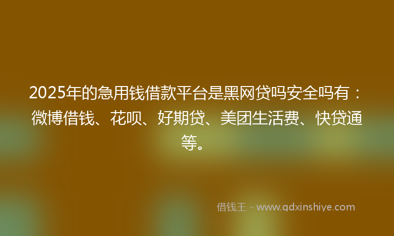 2025年的急用钱借款平台是黑网贷吗安全吗有：微博借钱、花呗、好期贷、美团生活费、快贷通等。