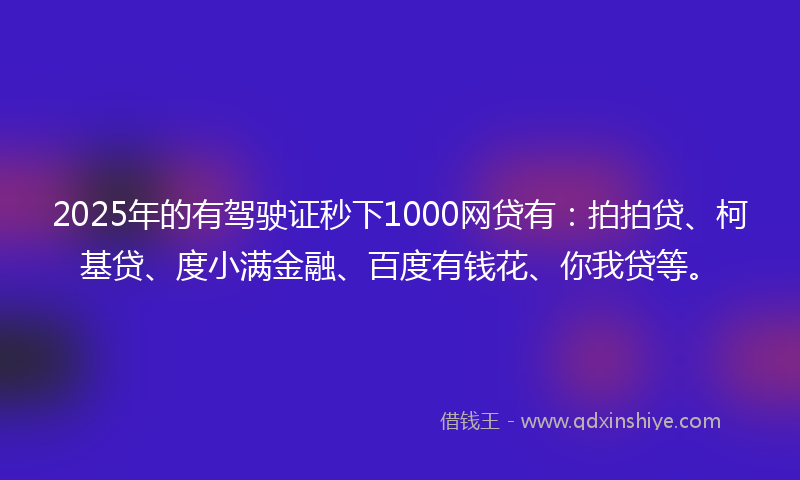 2025年的有驾驶证秒下1000网贷有：拍拍贷、柯基贷、度小满金融、百度有钱花、你我贷等。