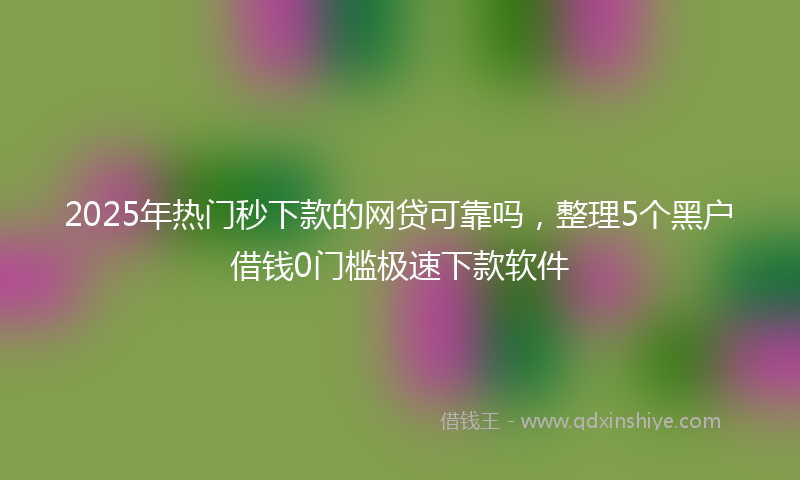 2025年热门秒下款的网贷可靠吗，整理5个黑户借钱0门槛极速下款软件