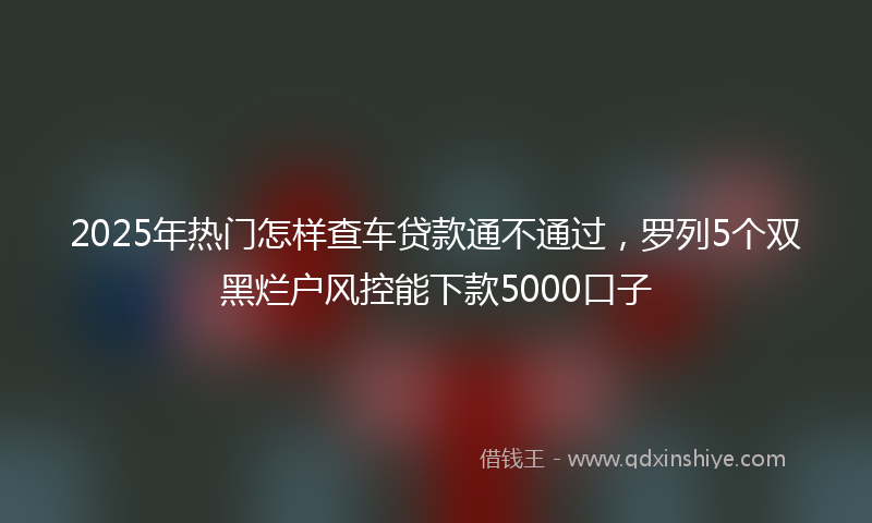 2025年热门怎样查车贷款通不通过，罗列5个双黑烂户风控能下款5000口子