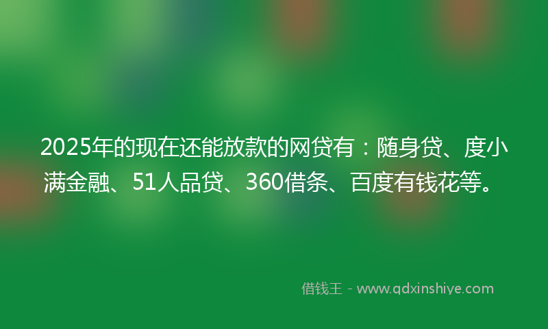 2025年的现在还能放款的网贷有：随身贷、度小满金融、51人品贷、360借条、百度有钱花等。