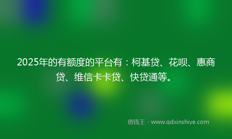 2025年的有额度的平台有：柯基贷、花呗、惠商贷、维信卡卡贷、快贷通等。