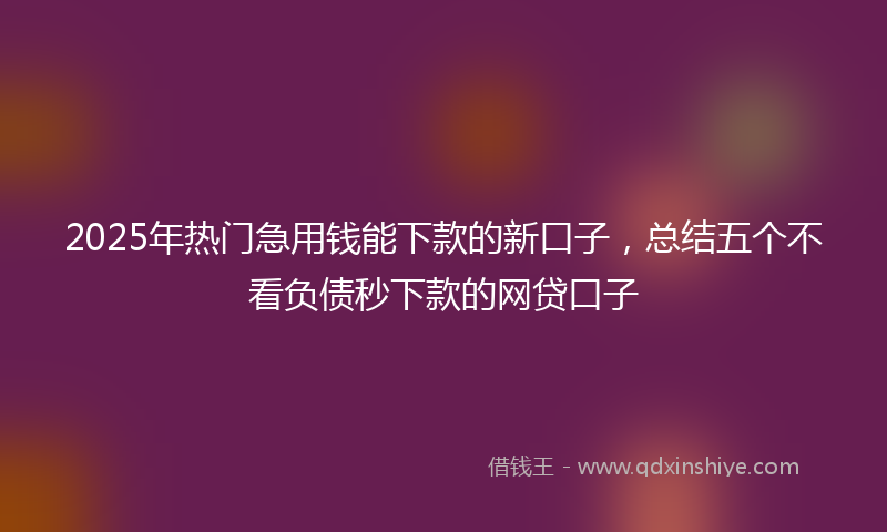 2025年热门急用钱能下款的新口子，总结五个不看负债秒下款的网贷口子