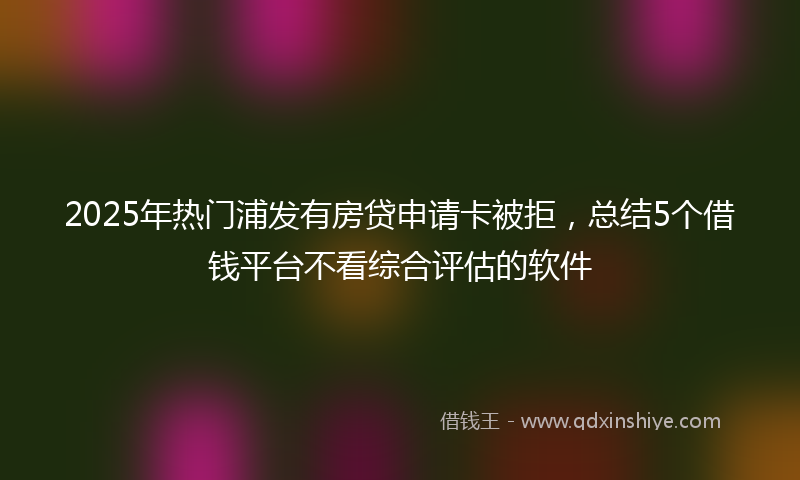 2025年热门浦发有房贷申请卡被拒，总结5个借钱平台不看综合评估的软件