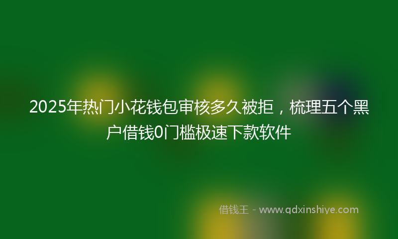 2025年热门小花钱包审核多久被拒，梳理五个黑户借钱0门槛极速下款软件