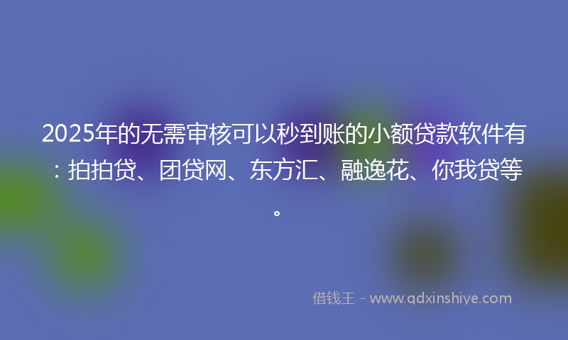 2025年的无需审核可以秒到账的小额贷款软件有：拍拍贷、团贷网、东方汇、融逸花、你我贷等。