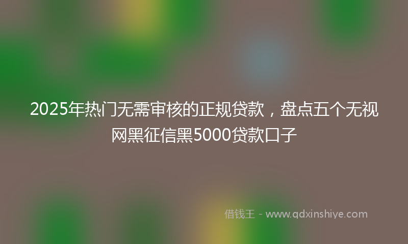 2025年热门无需审核的正规贷款，盘点五个无视网黑征信黑5000贷款口子