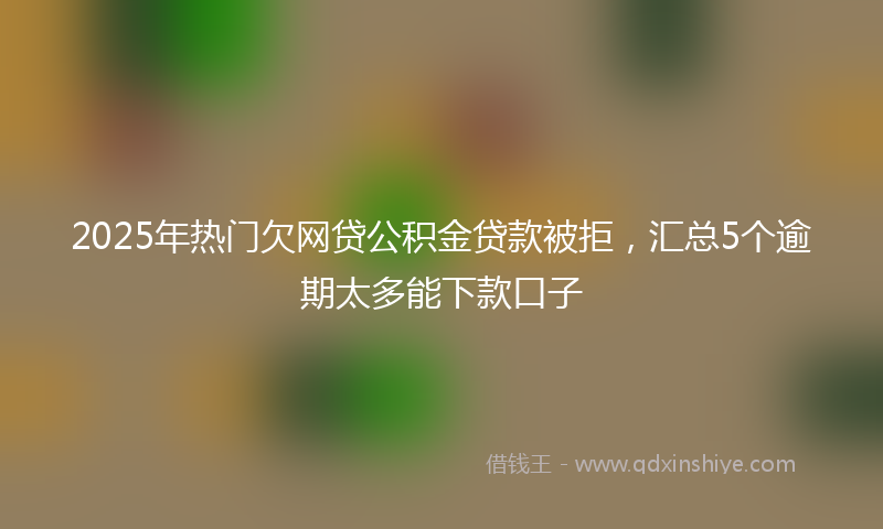 2025年热门欠网贷公积金贷款被拒，汇总5个逾期太多能下款口子