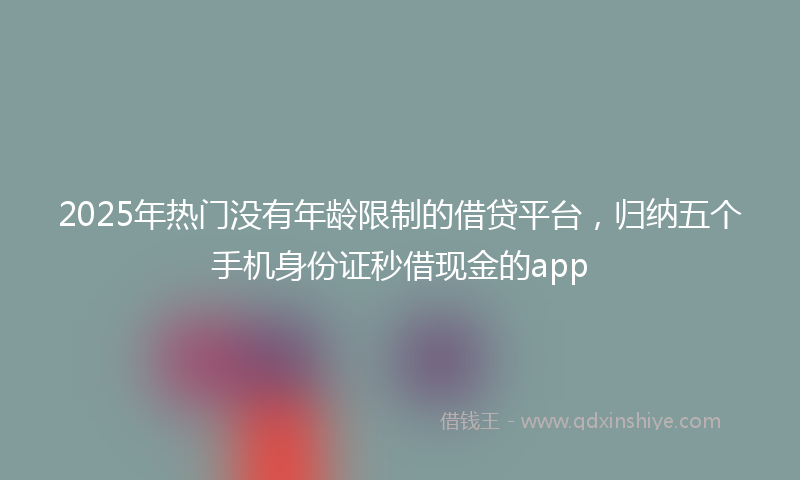 2025年热门没有年龄限制的借贷平台，归纳五个手机身份证秒借现金的app