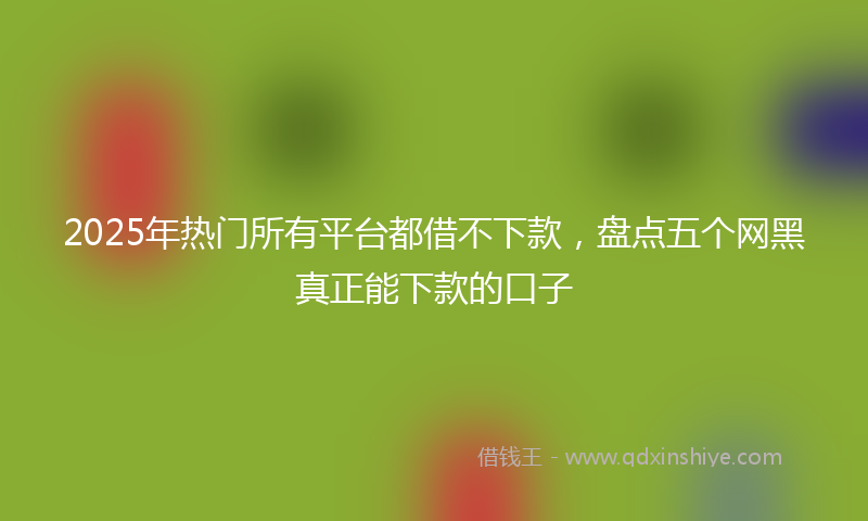 2025年热门所有平台都借不下款，盘点五个网黑真正能下款的口子