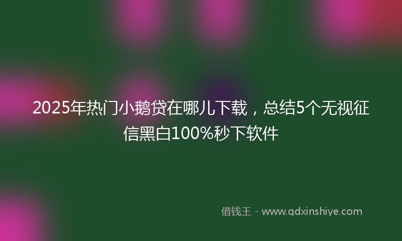 2025年热门小鹅贷在哪儿下载，总结5个无视征信黑白100%秒下软件