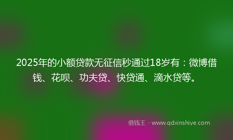 2025年的小额贷款无征信秒通过18岁有：微博借钱、花呗、功夫贷、快贷通、滴水贷等。