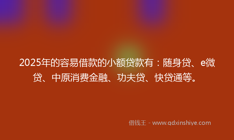 2025年的容易借款的小额贷款有：随身贷、e微贷、中原消费金融、功夫贷、快贷通等。