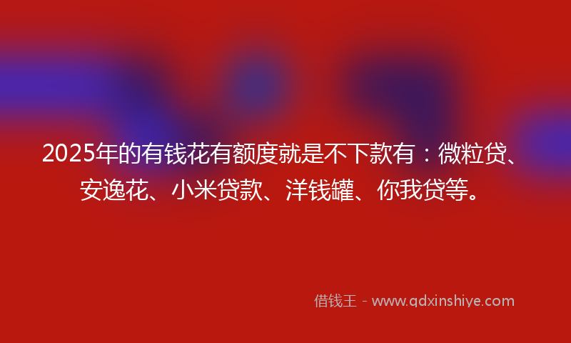 2025年的有钱花有额度就是不下款有：微粒贷、安逸花、小米贷款、洋钱罐、你我贷等。