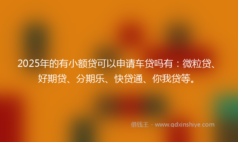 2025年的有小额贷可以申请车贷吗有：微粒贷、好期贷、分期乐、快贷通、你我贷等。