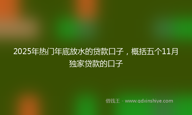 2025年热门年底放水的贷款口子，概括五个11月独家贷款的口子