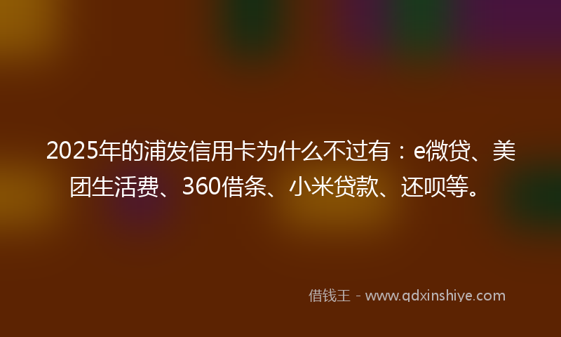 2025年的浦发信用卡为什么不过有：e微贷、美团生活费、360借条、小米贷款、还呗等。