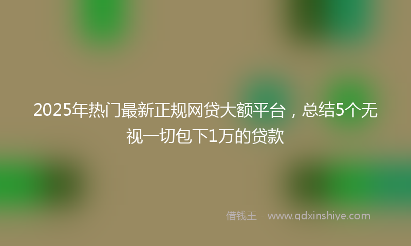 2025年热门最新正规网贷大额平台，总结5个无视一切包下1万的贷款