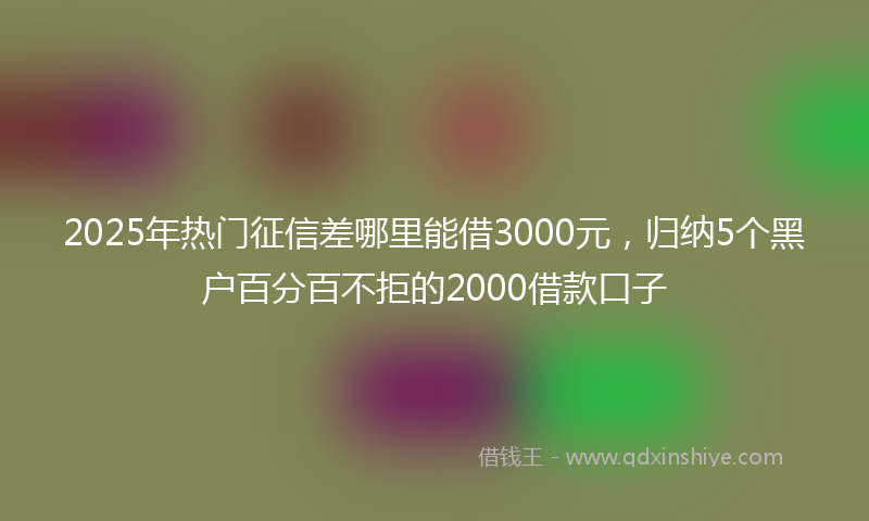 2025年热门征信差哪里能借3000元，归纳5个黑户百分百不拒的2000借款口子