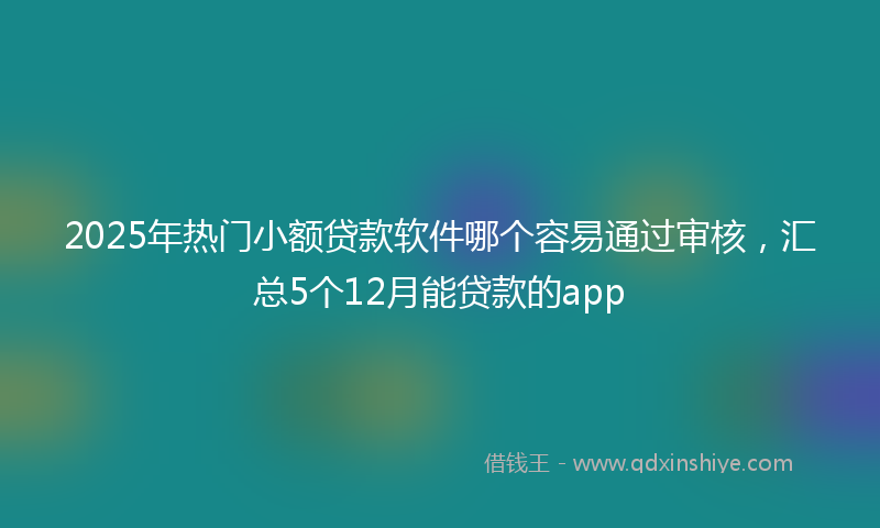 2025年热门小额贷款软件哪个容易通过审核，汇总5个12月能贷款的app