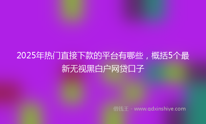 2025年热门直接下款的平台有哪些，概括5个最新无视黑白户网贷口子