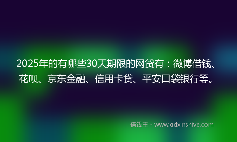 2025年的有哪些30天期限的网贷有：微博借钱、花呗、京东金融、信用卡贷、平安口袋银行等。