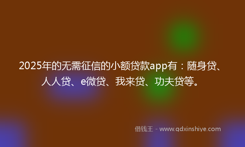 2025年的无需征信的小额贷款app有：随身贷、人人贷、e微贷、我来贷、功夫贷等。