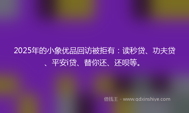 2025年的小象优品回访被拒有：读秒贷、功夫贷、平安i贷、替你还、还呗等。