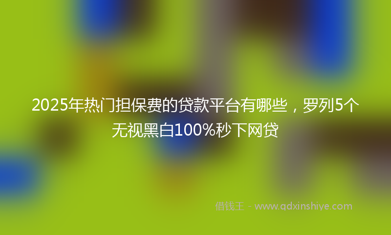2025年热门担保费的贷款平台有哪些，罗列5个无视黑白100%秒下网贷