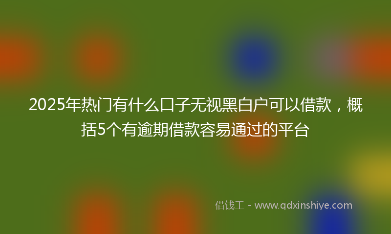 2025年热门有什么口子无视黑白户可以借款，概括5个有逾期借款容易通过的平台