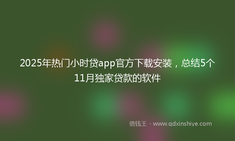 2025年热门小时贷app官方下载安装，总结5个11月独家贷款的软件