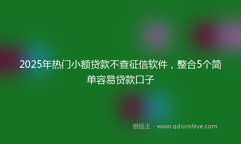 2025年热门小额贷款不查征信软件，整合5个简单容易贷款口子