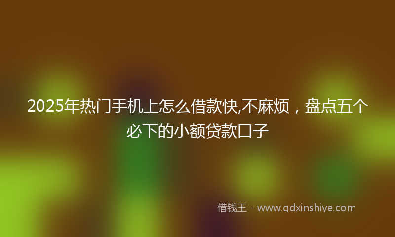 2025年热门手机上怎么借款快,不麻烦，盘点五个必下的小额贷款口子